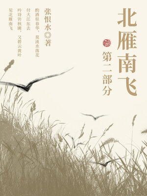 cover image of 北雁南飞·第二部分（张恨水经典小说）